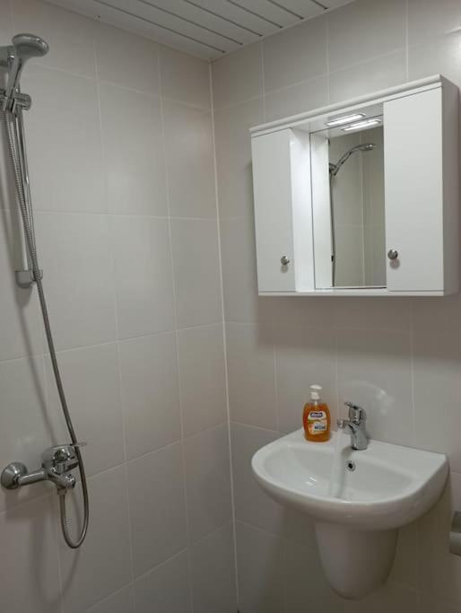 Gradina Apartment Montana Eksteriør billede